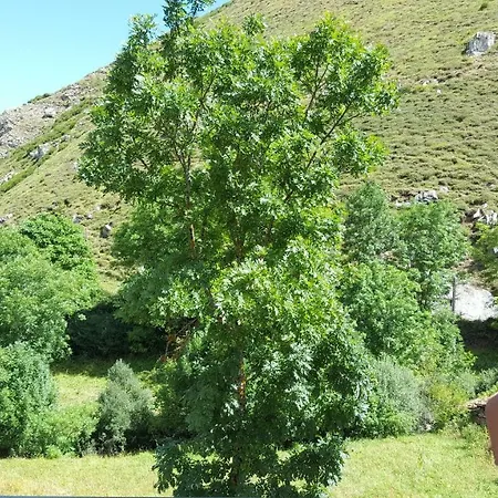 Casa Modesta. Somiedo